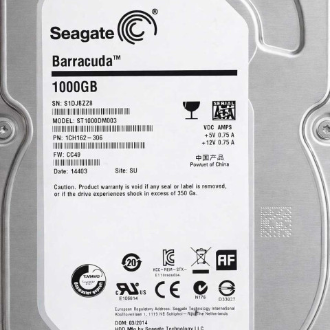 Seagate ST1000DM003-1CH162 S1Dxx 10 Jun 2013